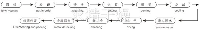脫水蔬菜帶式干燥工藝流程